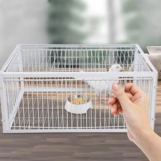 Cage d'oiseau automatique automatique - Entrée uniquement, pas de sortie
