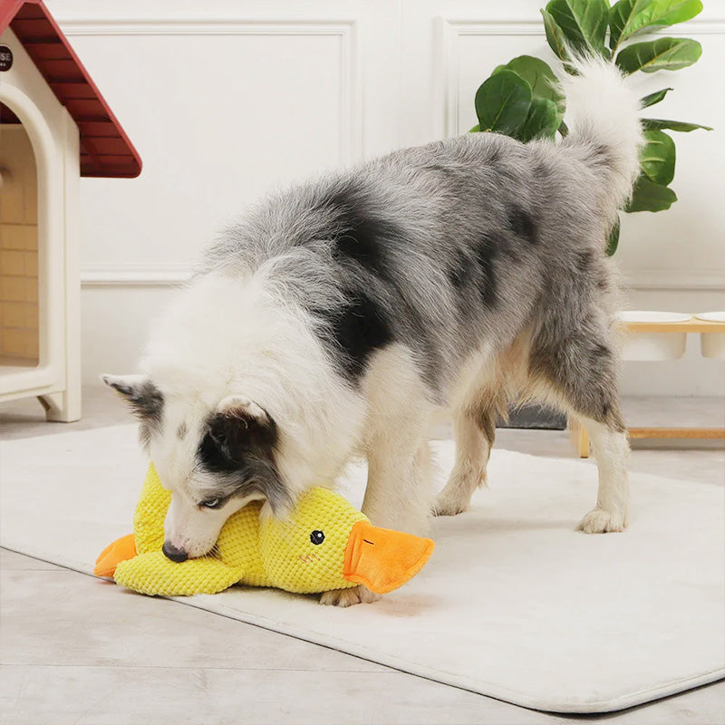 🐺Gift Choice - Durable Plush Chew Toy with Sound for Dogs---😘😘