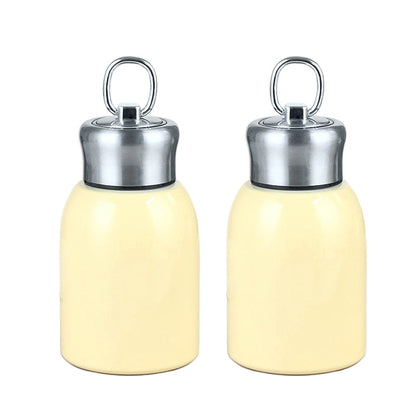 Stylish & Portable Insulated Water Bottle