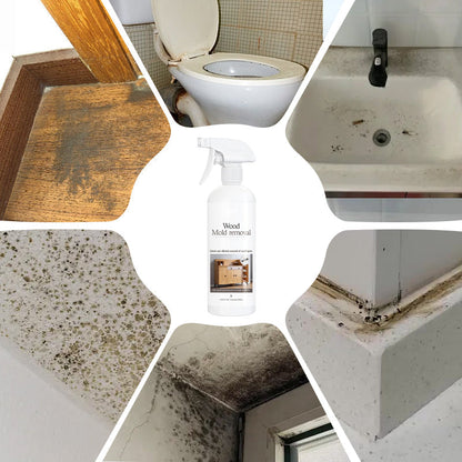 🔥🔥🔥Effective Wood Mold ＆ Mildew Stain Remover