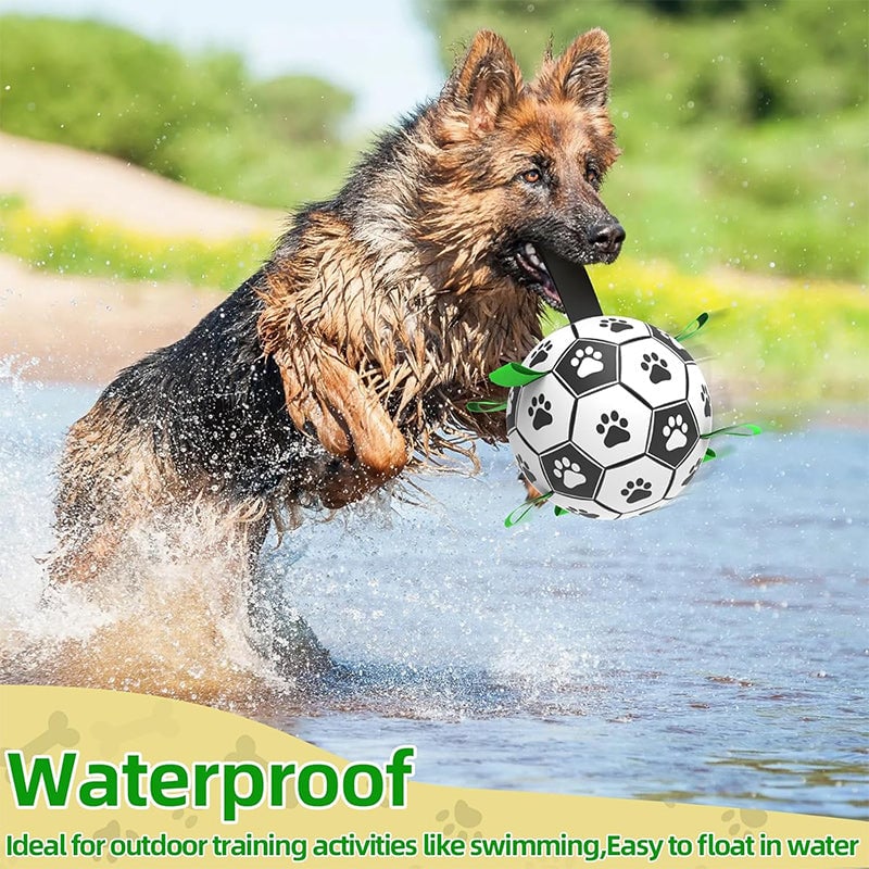 🎉Second one half price🎁🐕Dog Soccer Toy⚽