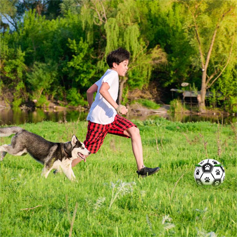 🎉Second one half price🎁🐕Dog Soccer Toy⚽