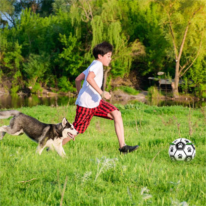 🎉Second one half price🎁🐕Dog Soccer Toy⚽