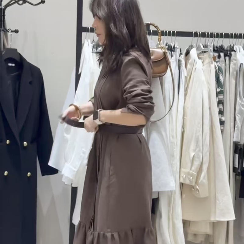Women's Button Up Long Sleeve Shirt Dress