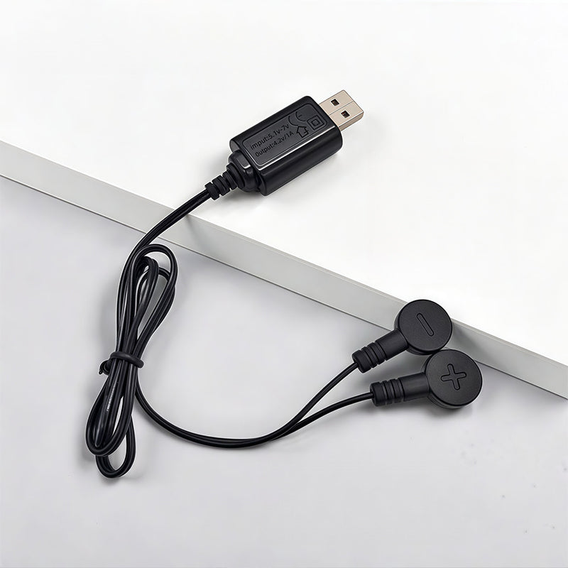 Magnetic Battery Charger for Electric