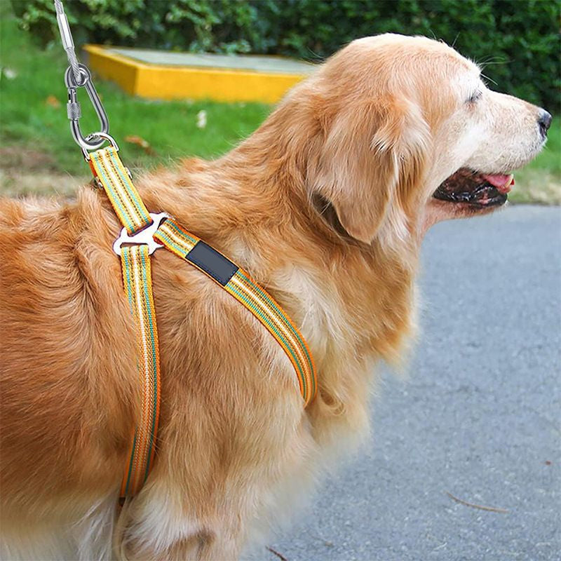 Heavy Duty Tie Out Cable for Dogs