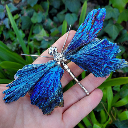 Aura Tourmaline Kyanite Dragonely